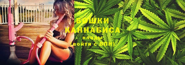 прущие крисы Арсеньев
